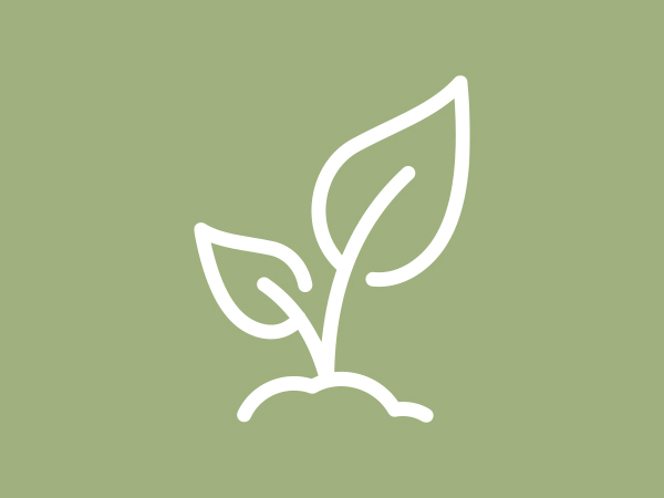 Graphic of two leaves sprouting from the ground