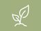 Graphic of two leaves sprouting from the ground